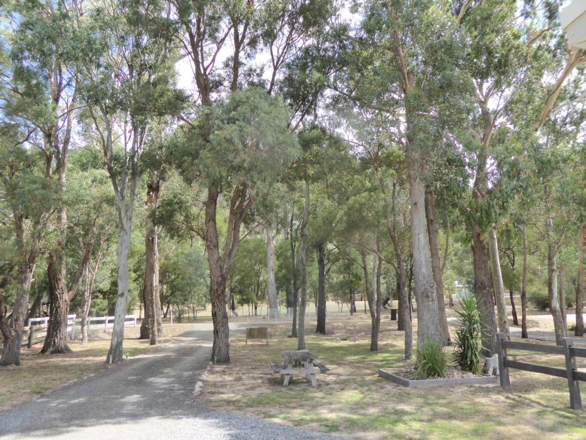 Dacelo Villa Halls Gap Exterior photo