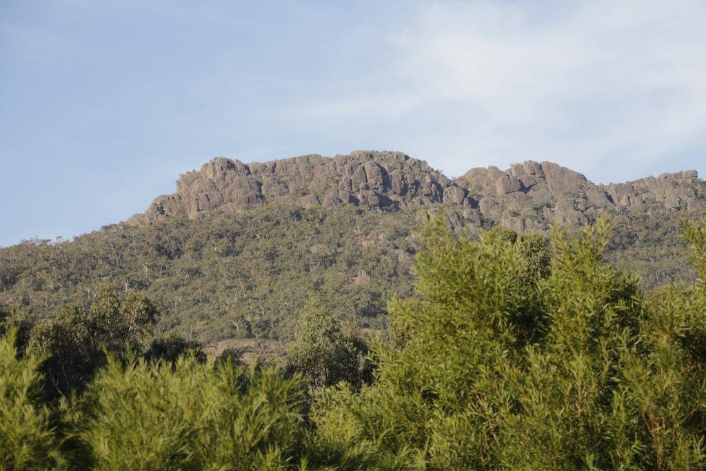 Dacelo Villa Halls Gap Exterior photo