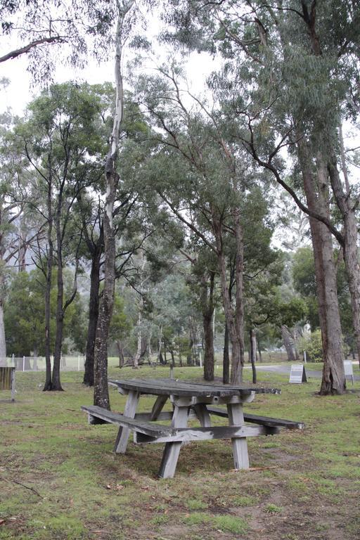 Dacelo Villa Halls Gap Exterior photo